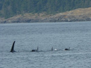 J-26 Mike and Friends