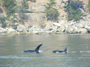 T-19B (B for Big Boy!) with Mom T-19