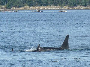 Keeping Up with the Big Guys!