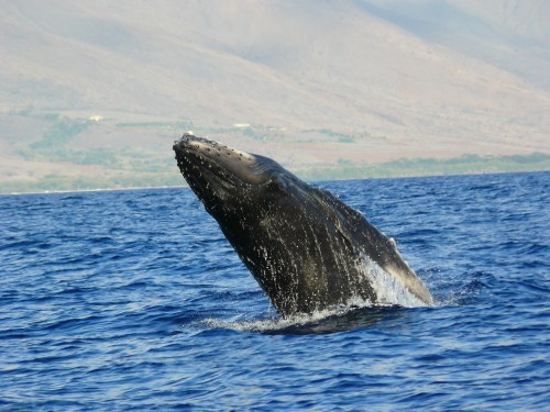 ?????????????????????