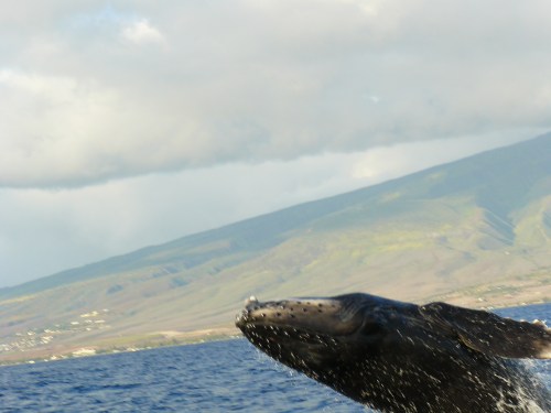 ?????????????????????