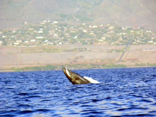 ?????????????????????