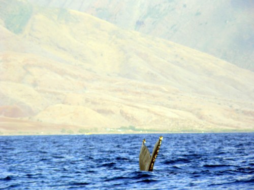 ?????????????????????????