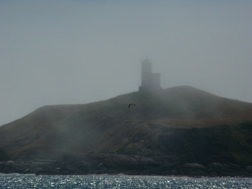 2013-7-8 SRKW SuperPod +3 hours 013