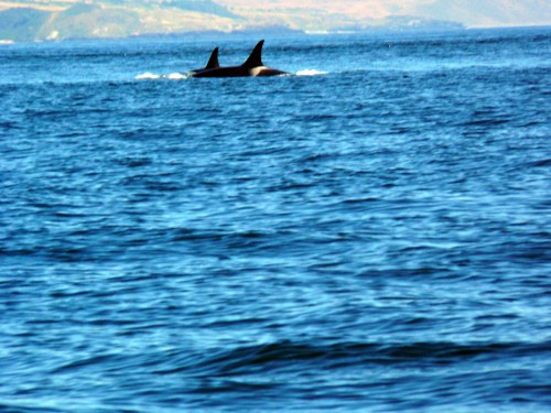 ?????????????????????????????????