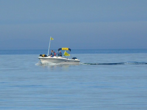 2014-10-5 SRKW Orcas Hein Bank 054